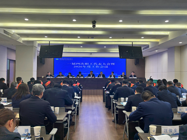 291娱乐集团等三家公司召开一届四次职工代表大会暨2026年度工作会议